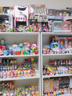 从收藏到投机 “万物皆可炒”时代下的盲盒经济热潮